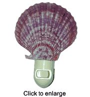 Sea Shell Night Light - click to enlarge