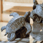 Sea Turtle Bookends Brass Pair