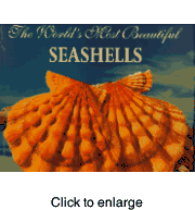 SEASHELL & MARINE LIFE BOOKS - click to enlarge
