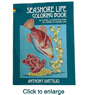 Seashore Life Coloring Book   by Anthony D'Attilio - click to enlarge