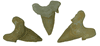 Shark Teeth Set of 3