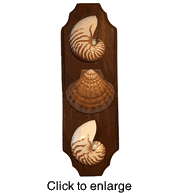 Shell Art on Wood Wall Plaque 3 Vertical - click to enlarge