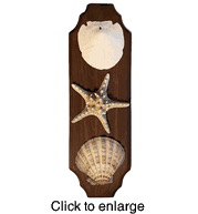 Shell Art  on Wood Wall Plaque 4 Vertical - click to enlarge
