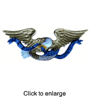 Ships Transom Eagle Carving - click to enlarge