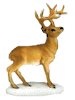 Stone Critters: White Tail Buck