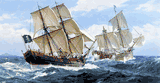 The Stragglers Fate by Charles Vickery