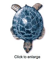 Turtle Nautical Door Knocker - click to enlarge