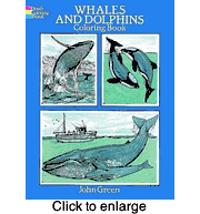 Whales and Dolphins Coloring Book By: John Green - click to enlarge