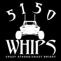 5150 Whips LED Whips