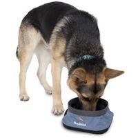 Pet Travel Bowl Slate
