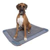 Pet Travel Mat Slate Medium