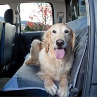 Quickfit Seat Protector Slate Medium