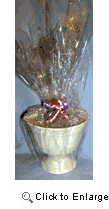 Ceramic Cup Filled With Gourmet Chocolate (Kosher)