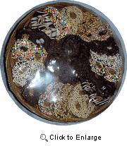 Large Round Platter of Chocolate Covered Pretzels (Kosher)