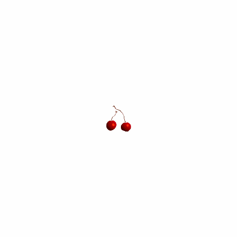 CHERRY, WILD  (1 OZ) * +