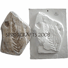 FOSSIL FERN PLASTER CRAFT MOLD (8.75" HT)