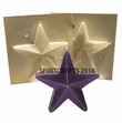 FREESTANDING 5 POINT STAR PLASTIC CANDLE MOLD (6" HT)