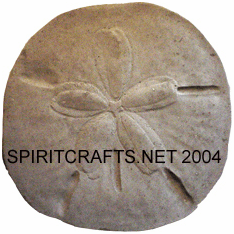 LRG SAND DOLLAR STEPPING STONE MOLD (17" DIA)