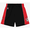 Toronto Raptors 2012/13 Hardwood Classics Mens Swingman Shorts