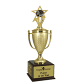 10 Fun Music Awards