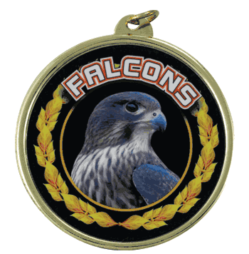 2 1/4" Falcons Medal - Click to enlarge