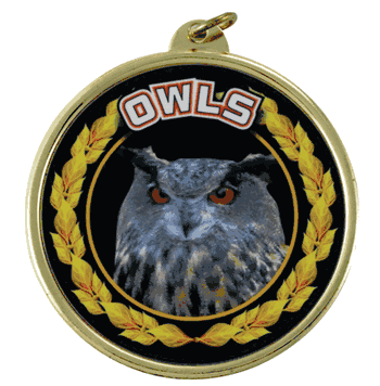 2 1/4" Owls Medal - Click to enlarge