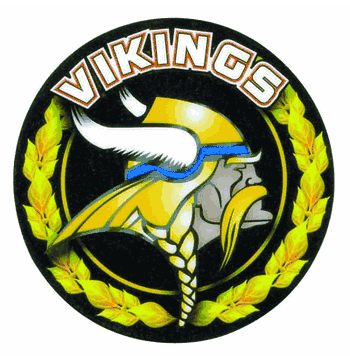 2 1/4" Vikings Medal - Click to enlarge