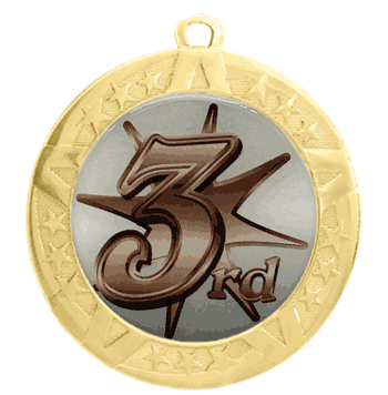 2 3/4" T-Series Medal with Gold Frame: 3rd Place - Click to enlarge