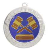 2 3/4" Silver Frame Medal: Debate