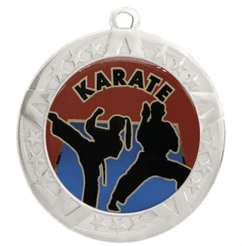 2 3/4" Silver Frame Medal: Karate - Click to enlarge
