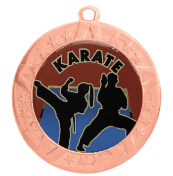 2 3/4" T-Series Medal with Bronze Frame: Karate - Click to enlarge