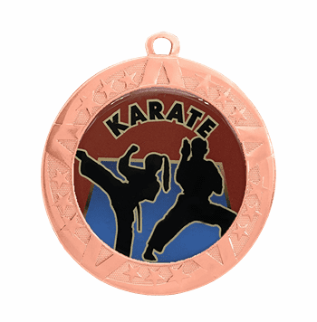 Bronze Karate Award Medal,2 3/4" - Click to enlarge
