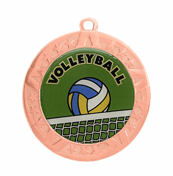 Volleyball Award Medal - Bronze Frame, 2 3/4" - Click to enlarge