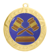 2 3/4" T-Series Medal with Gold Frame: Debate