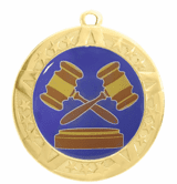 2 3/4" T-Series Medal with Gold Frame: Debate