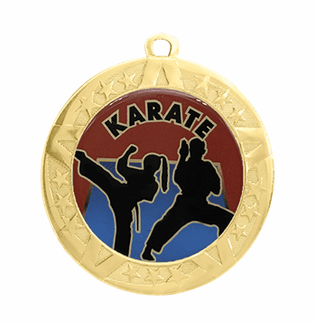 2 3/4" T-Series Medal with Gold Frame: Karate - Click to enlarge