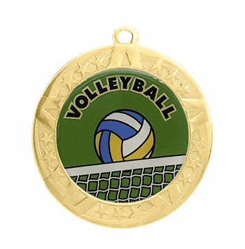 Volleyball Award Medal - Gold Frame, 2 3/4" - Click to enlarge