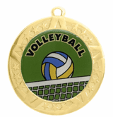 Volleyball Award Medal - Gold Frame, 2 3/4"