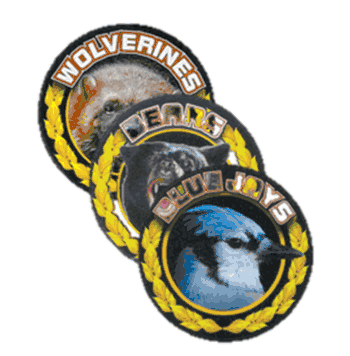 2" Mascot Inserts - Click to enlarge