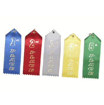 2" x 6" Printed Place Ribbons (Card & String) - Click to enlarge