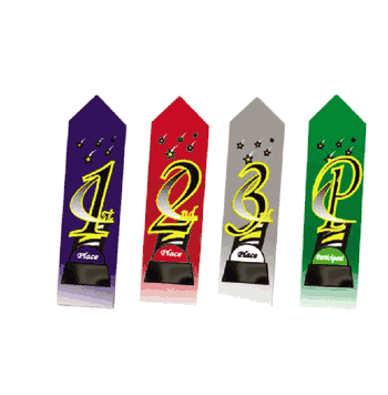 2" x 8" Colorful Place Ribbon Pack (Card & String Back, Blue, Red, White and Green) - Click to enlarge