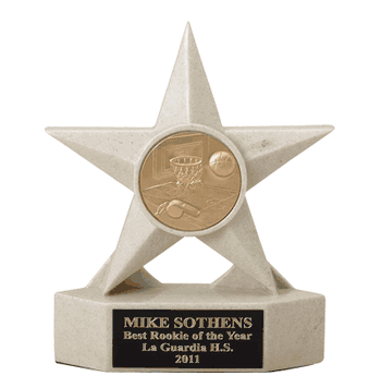 7" Star Insert Trophy - Stone - Click to enlarge