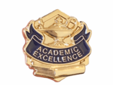 Academic Excellence - Gold Enamel Lapel Pin
