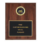 Academic Insert Plaque (Multiple Styles)