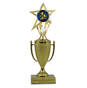 Achievement Cup & Insert Trophy - 1st Place - Click to enlarge