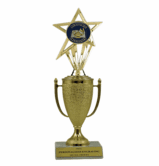 Achievement Cup & Insert Trophy - Academic