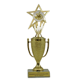 Achievement Cup & Insert Trophy - Art