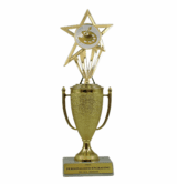 Art Trophy - Cup & Insert
