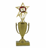 Coach Trophy - Cup & Insert