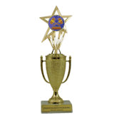 Achievement Cup & Insert Trophy - Debate
